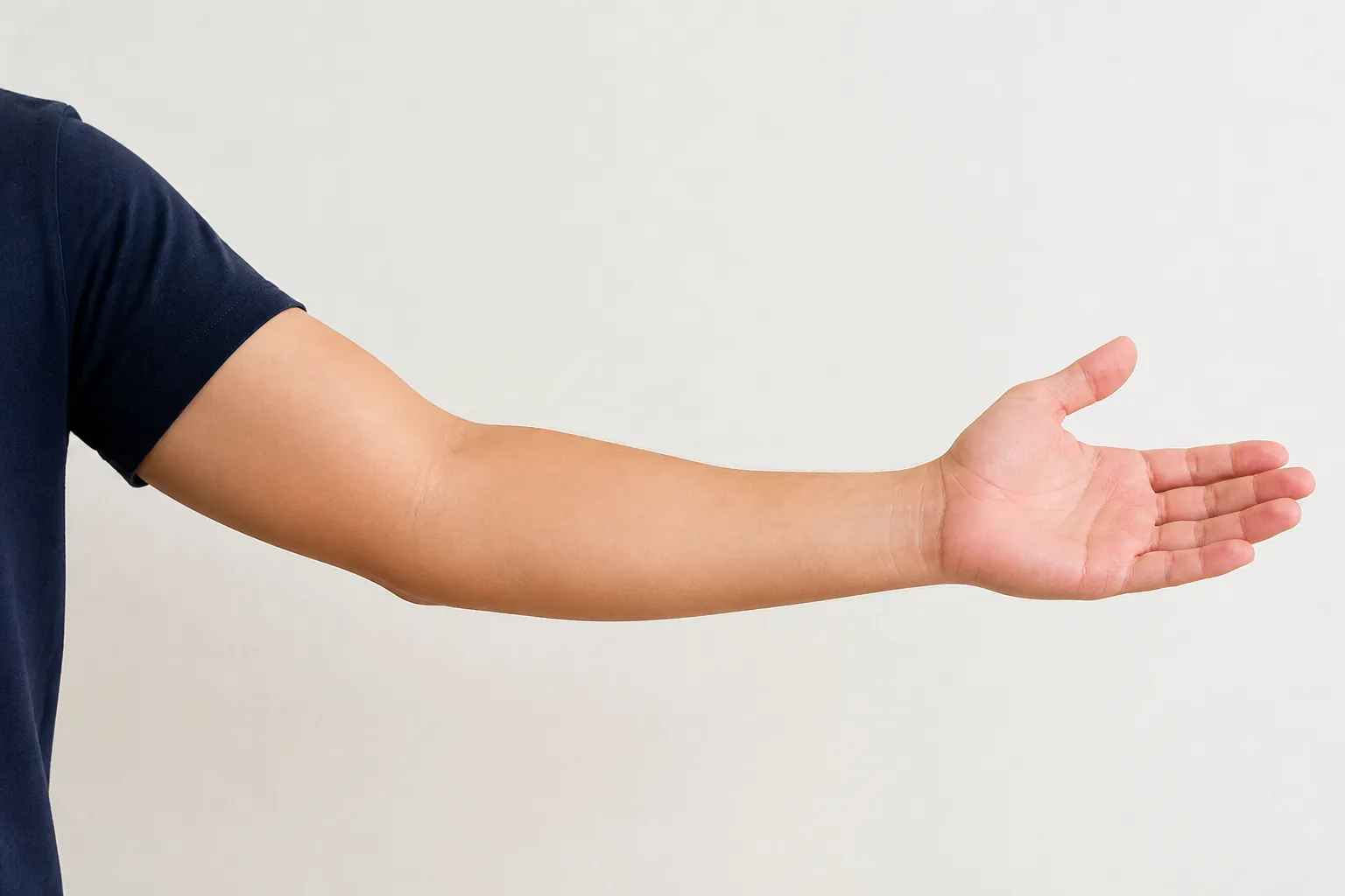 brazo — arm