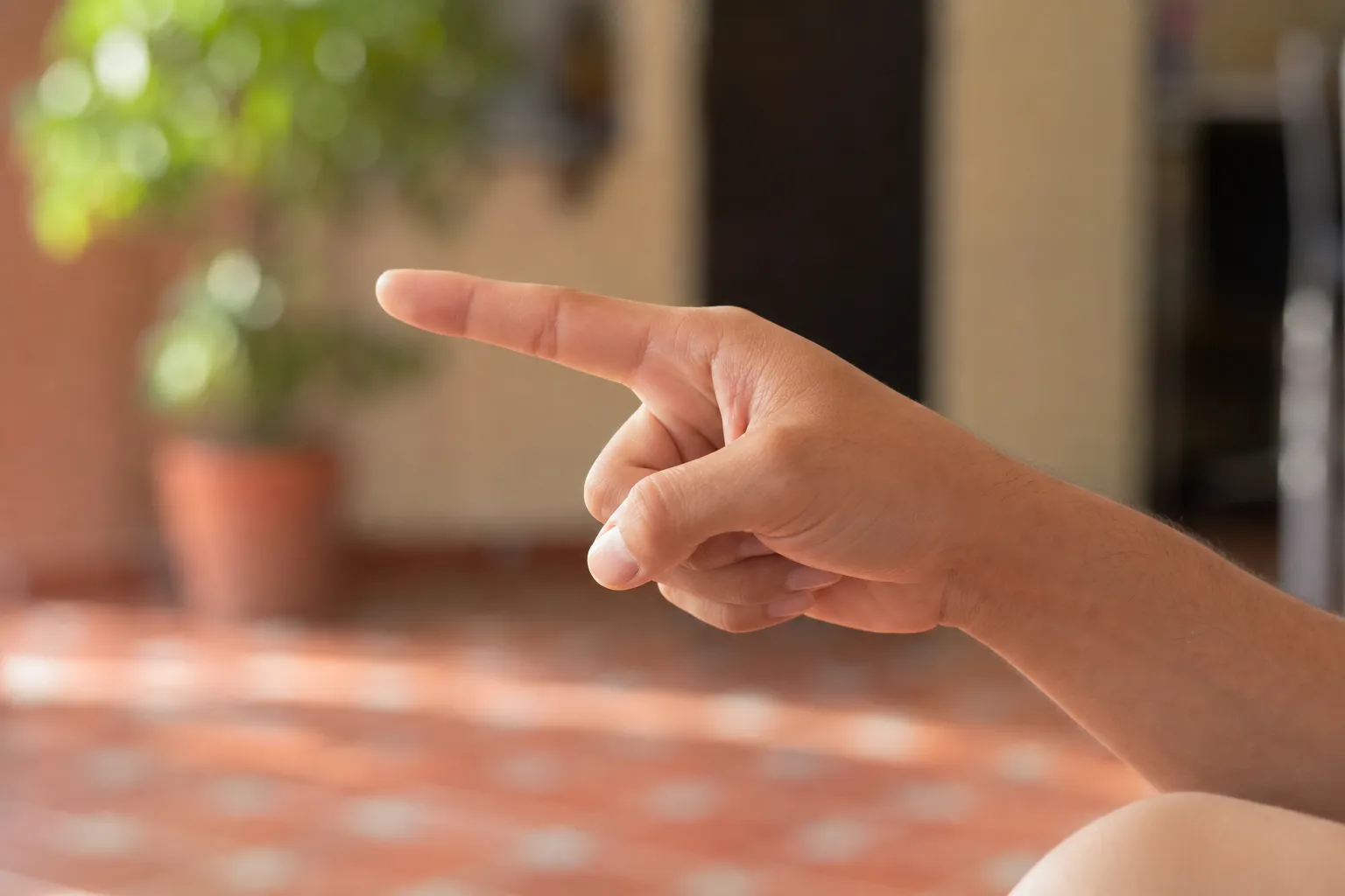 dedo — finger