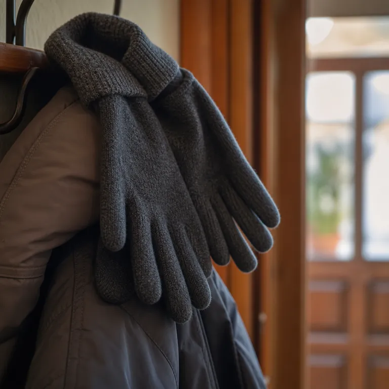 guantes — gloves