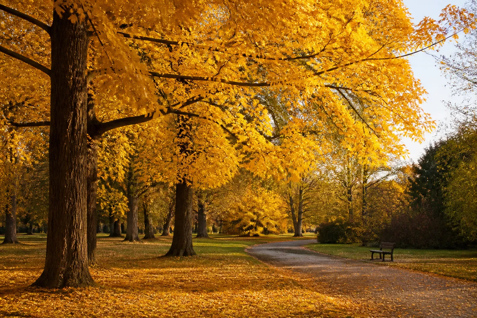 otoño — autumn / fall